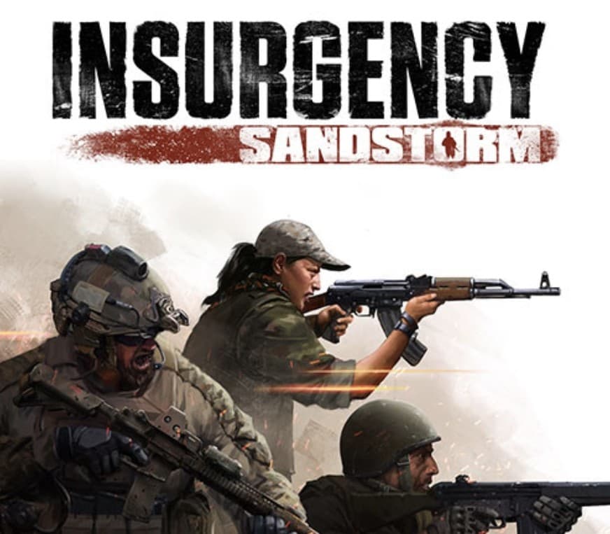 Insurgency: Sandstorm FR