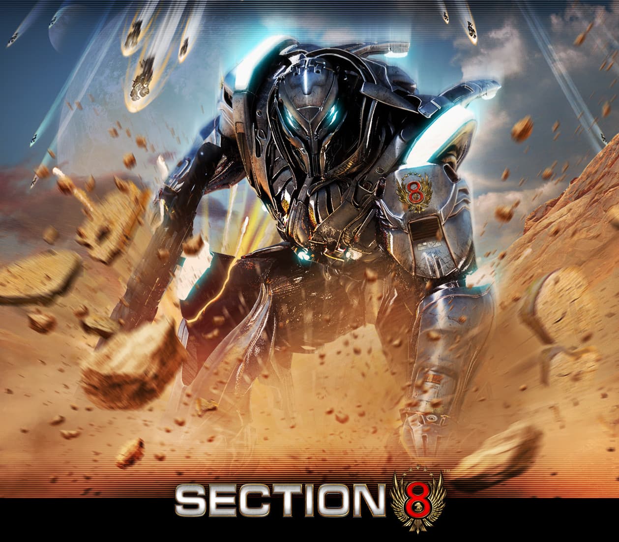 Section 8