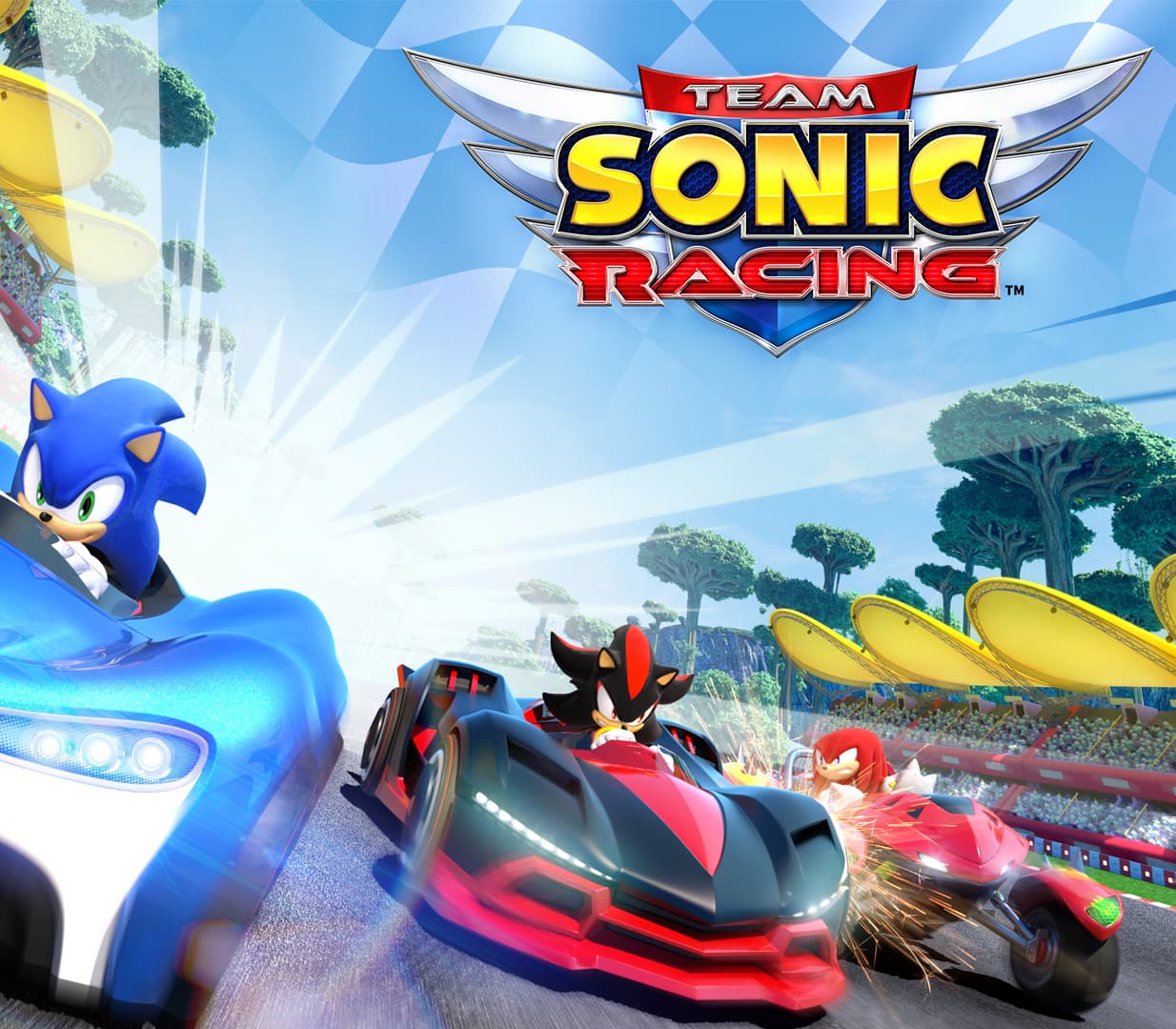 Team Sonic Racing PS4/PS5