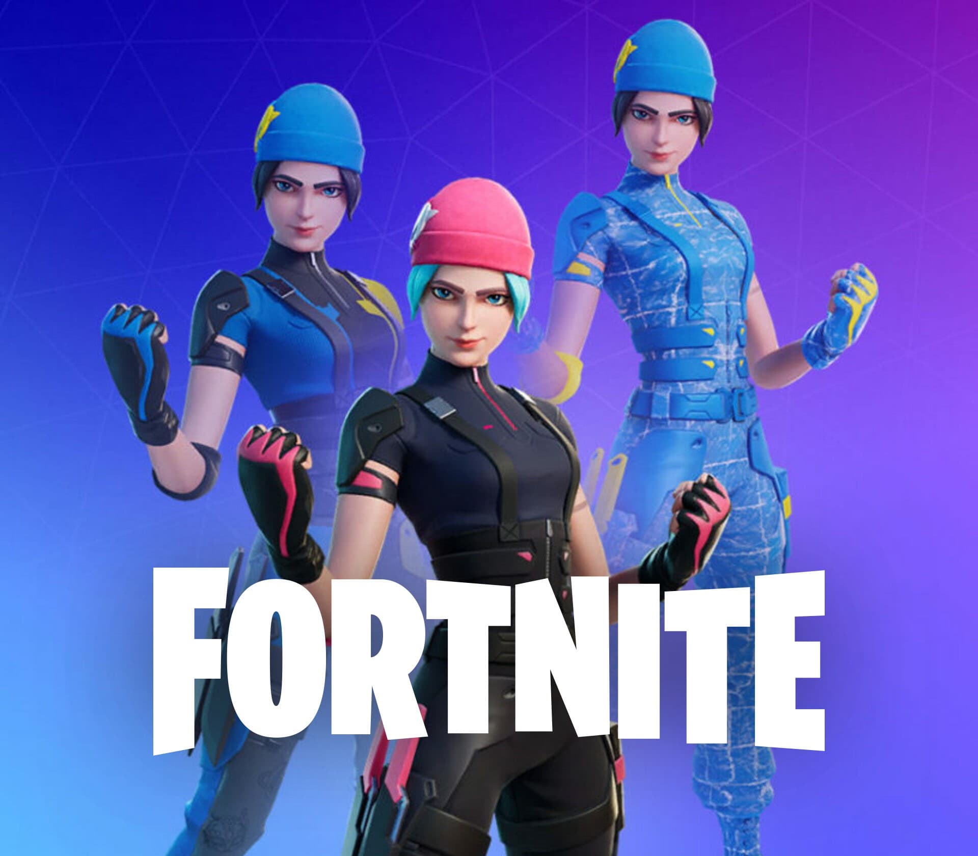 Fortnite - Wildcat Bundle DLC