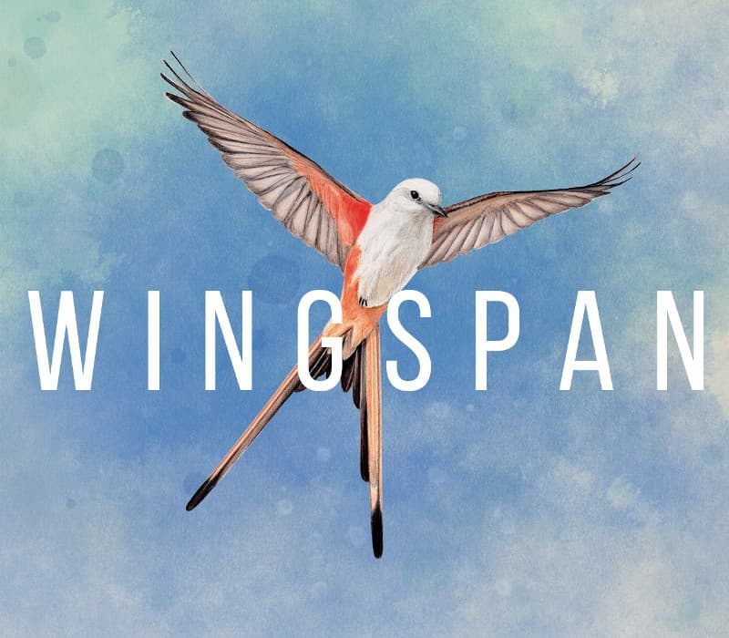 Wingspan