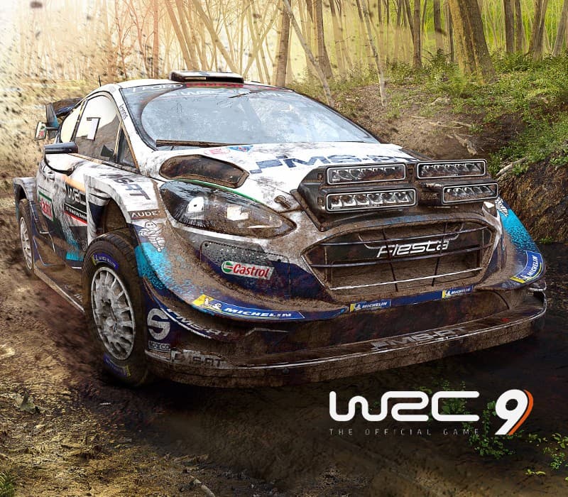 WRC 9 FIA World Rally Championship ASIA