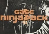 PAYDAY 2 - Gage Ninja Pack