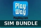 PlayWay's Sim