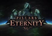 Pillars of Eternity Hero Edition RU VPN Required