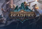 Pillars of Eternity II: Deadfire EU PC Steam Altergift