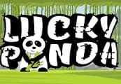 Lucky Panda