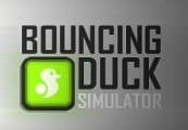 Bouncing Duck Simulator