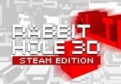 Rabbit Hole 3D