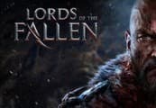 Lords of the Fallen Limited Edition RU VPN Required