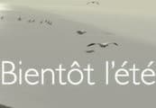 Bientôt l'été