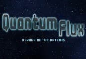 Quantum Flux