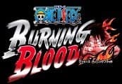 One Piece Burning Blood Gold Edition RU VPN Activated