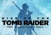 Rise of the Tomb Raider: 20 Year Celebration Edition RU VPN Activated