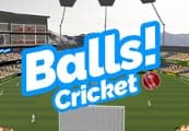 Balls! Virtual Reality Cricket