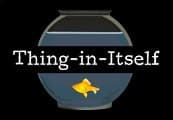 Thing-in-Itself
