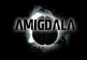 Amigdala