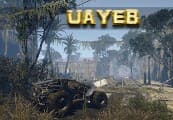 UAYEB
