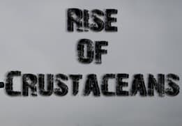 Rise of Crustaceans