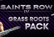 Saints Row IV - Grass Roots Pack