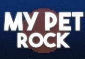 My Pet Rock