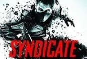 Syndicate Executive Package
