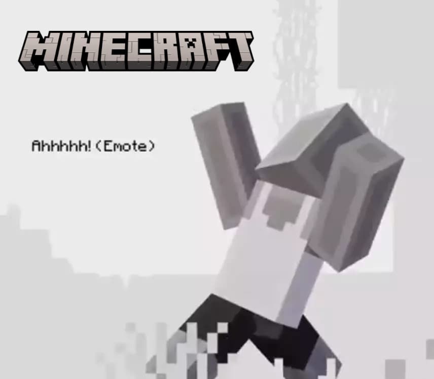 Minecraft - Support A Streamer emote