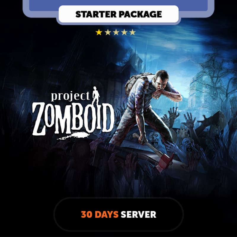 Project Zomboid 30 days Private Server - Starter Package