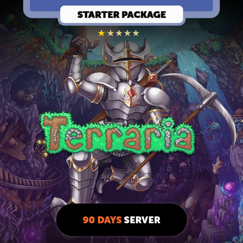 Terraria 90 Days Private server - Starter Package