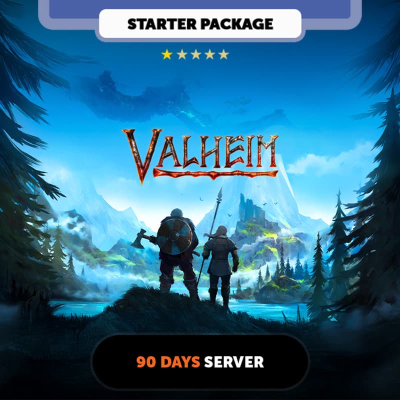 Valheim 90 days Private Server - Starter Package