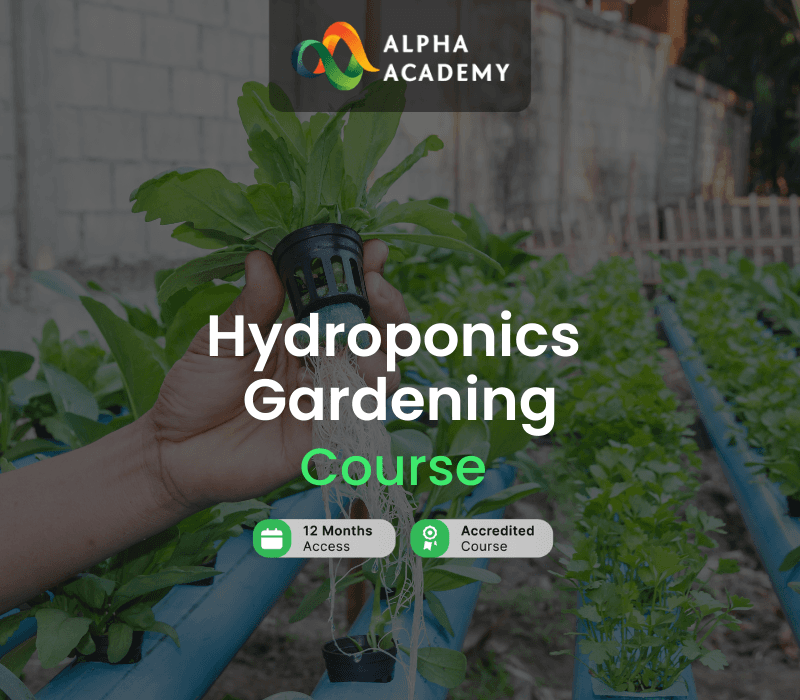 Hydroponics Gardening Online Course Alpha Academy