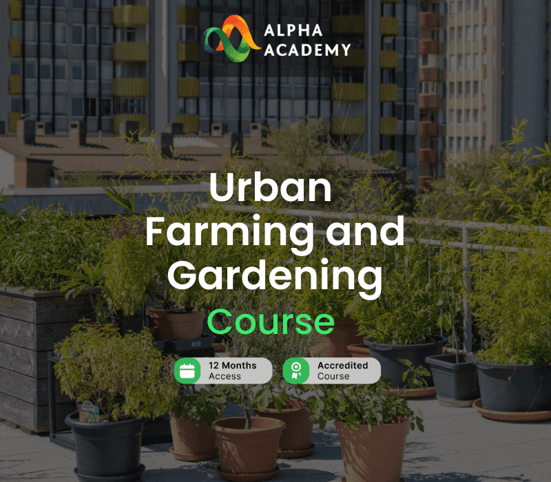 Urban Farming and Gardening Alpha Academy
