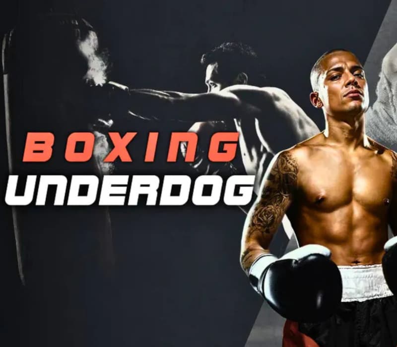 Boxing Underdog Meta Quest