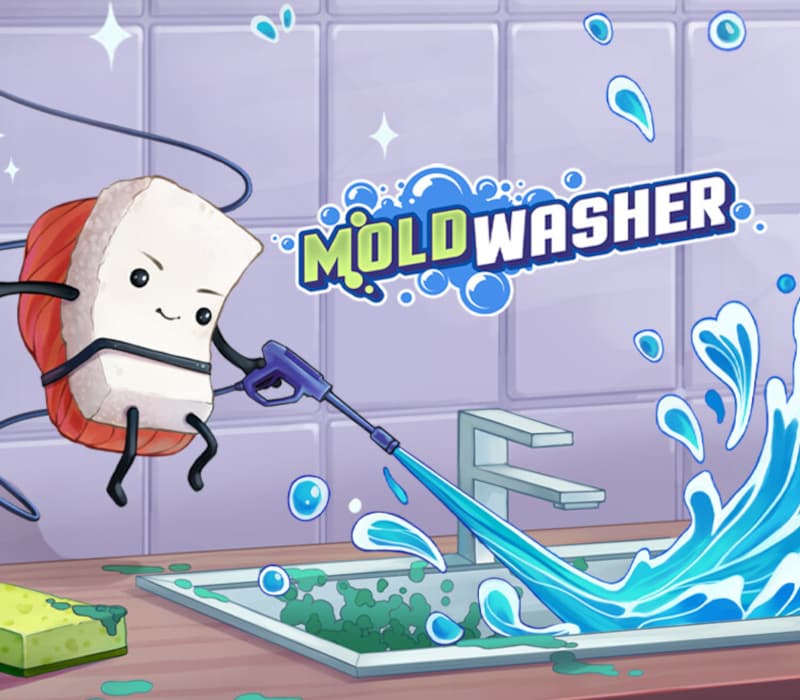Moldwasher