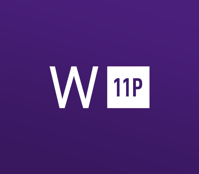 Windows 11 Professional ESD
