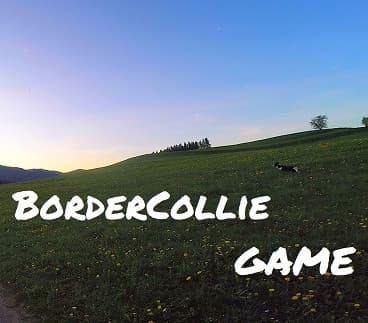 BorderCollie Game