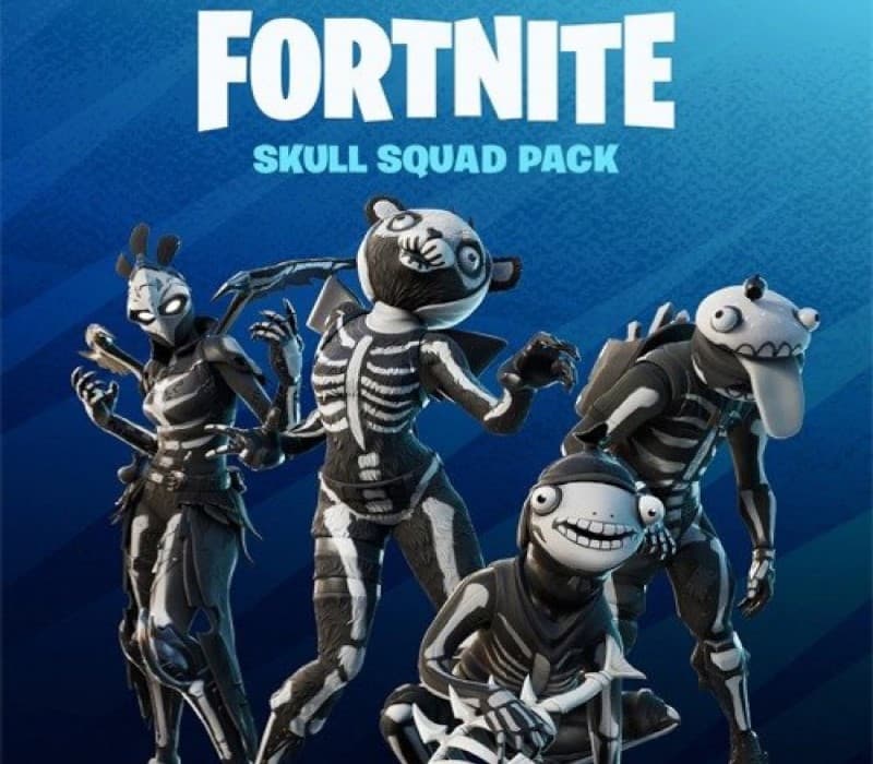 Fortnite - Skull Squad Pack EU XBOX One / Xbox Series X/S