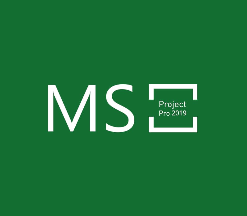 MS Project Professional 2019 Bind