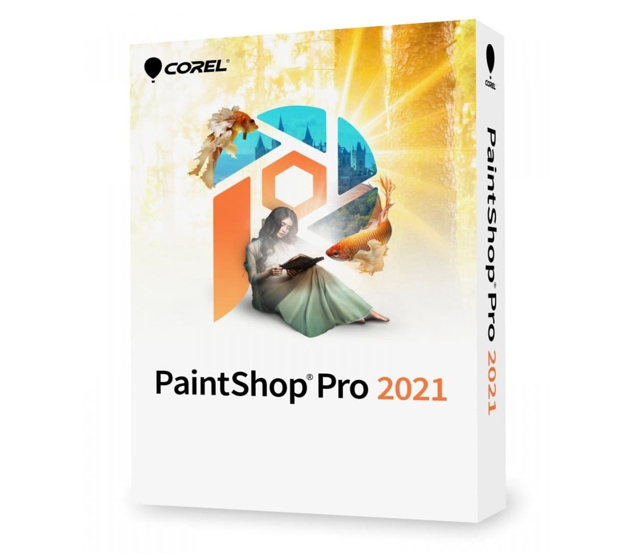Corel PaintShop Pro 2021